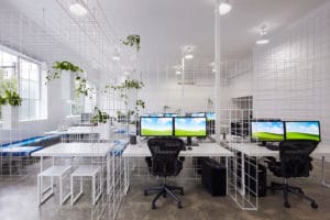 Squint Opera workstations with indoor plant and office chairs